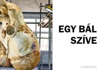 Fotók valóságos dolgokról, amiket el sem tudtunk képzelni