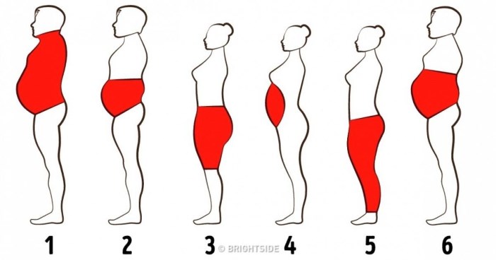 top 5 módszer a testzsír csökkentésére