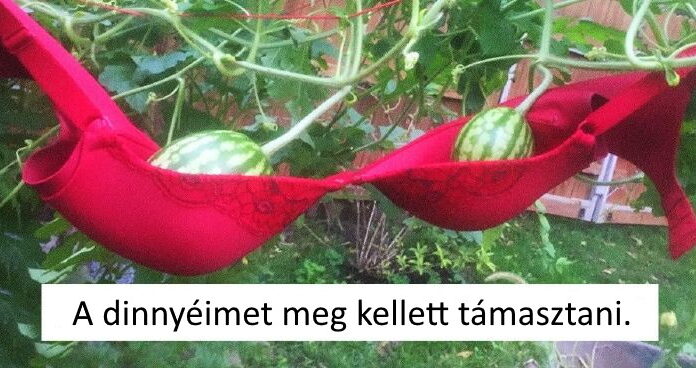 20 ember, aki nem a megszokott módon oldja meg a problémákat