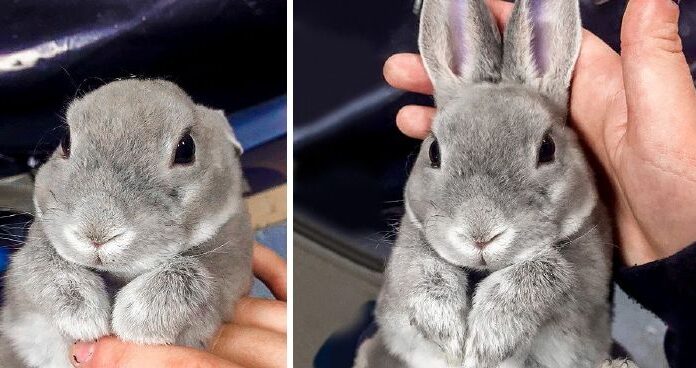 20 fotó, ami jobban felmelegít, mint egy vastag takaró egy hideg éjszakán