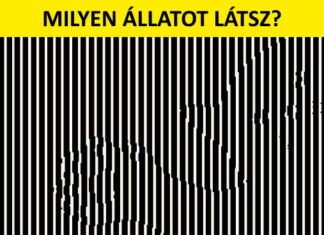 10 vizuális rejtvény, ami trükközni fog az elméddel