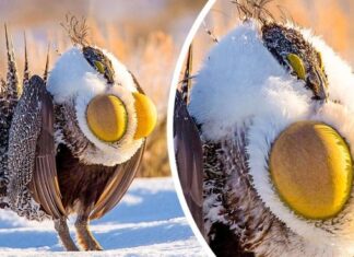 17 alkalom, amikor a természet mindenkit le akart nyűgözni, de egy kicsit elragadtatta magát