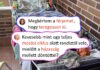 11 háztartási baki, ami bizonyítja, hogy a férfiak díjat érdemelnének az erőfeszítéseikért