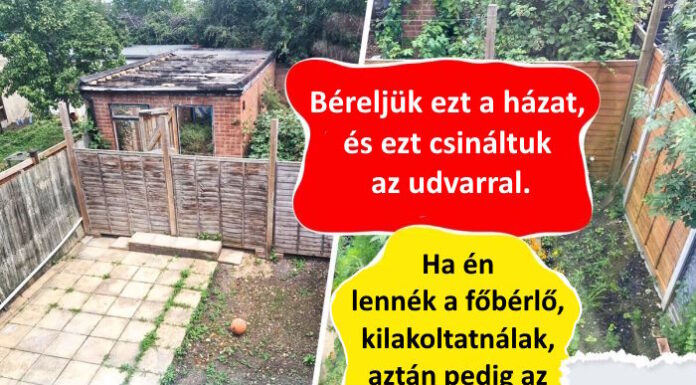 19 ember, akik az erőfeszítésüket és tehetségüket bevetve hoztak létre valami gyönyörűt és kényelmeset