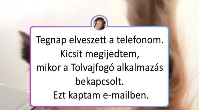 19 fotó, ami bizonyítja, hogy a háziállatok valójában álruhába bújt, szőrös komédiások