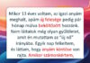 12 nevelőszülő, akik bizonyítják, hogy az igazi család nem vér szerinti kötelék kérdése