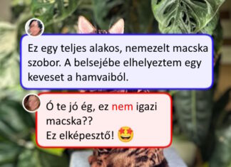 12 ember, akik szerint ez “csak hobbi” – de a munkáik igazi remekművek