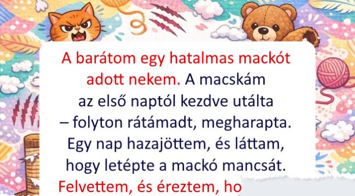 15 háziállat, akik borzalmas rendetlenséget csináltak, de kicsit sem szégyellték magukat