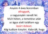 12 nagyszülő, akik bizonyítják, hogy ők a család szíve-lelke